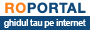 Director web - Roportal